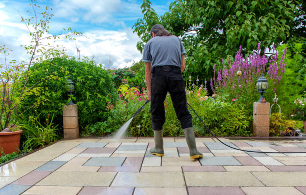 Best Sidewalk and Walkway Cleaning  in Cross City, FL